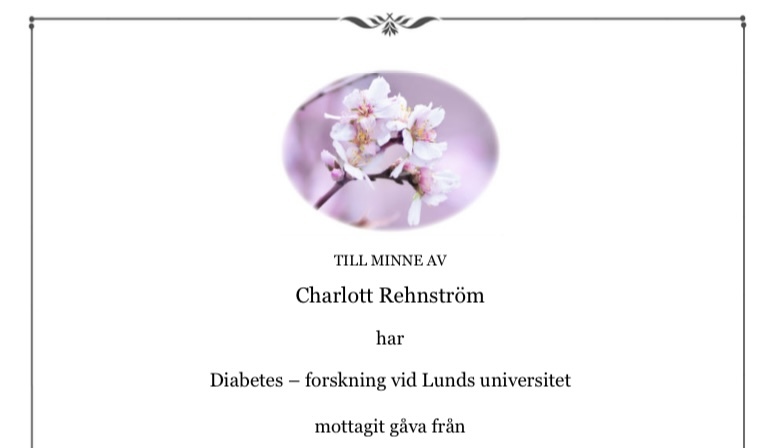 Klicka för att se förhandsgranska